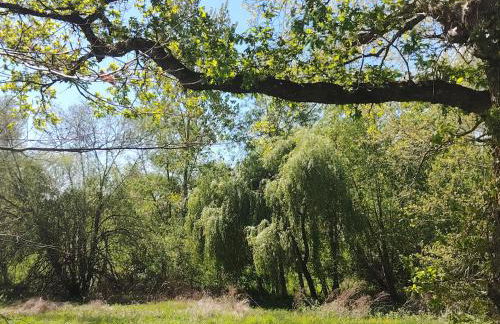 Le Goire at Le Maingaud - Foto 31