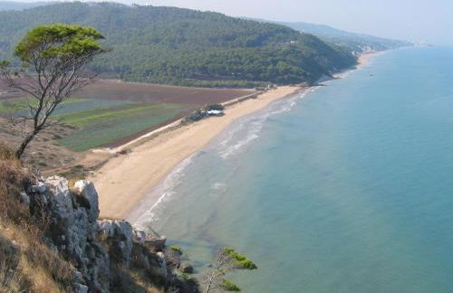 Villa Pineta - Foto 34