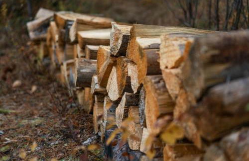 Frontier Cabin by Twin Beds Vacation Homes - Photo 35