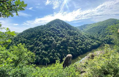 Le gîte des Aubèles - Photo 23