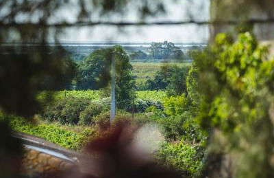 La maison des vendangeurs - Foto 2