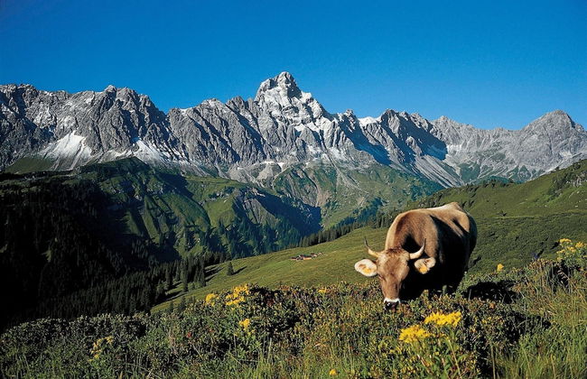 Holiday Home Near ski Resort in St. Gallenkirch - Foto 65