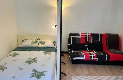 Studio 22m2 rénové sur cour privée - Foto 3