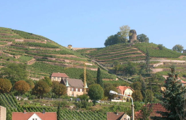 A. Heyne Modern Retreat - Foto 20