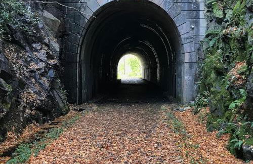 The Den - your cosy sleepover space - Photo 24