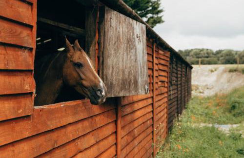 Luccombe Farm Holiday Cottages - Photo 55