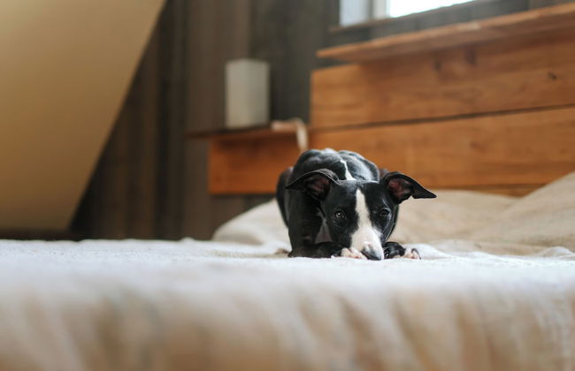 Station Chêne Rouge - Foto 18