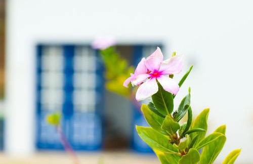 Lar do Biri Biri - Vila do Biri Biri/Diamantina MG - Foto 6