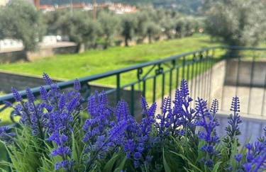 SWEET HOME LOUSÃ - Foto 9