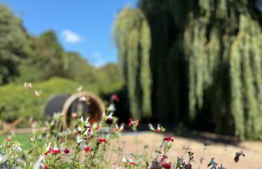 A historic Pub with a modern twist - The Greyhound - Foto 66