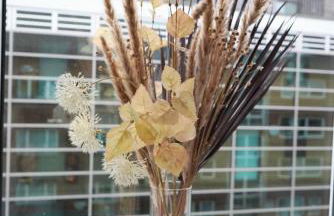 Moderne City Apartments im Stadtzentrum - Foto 9