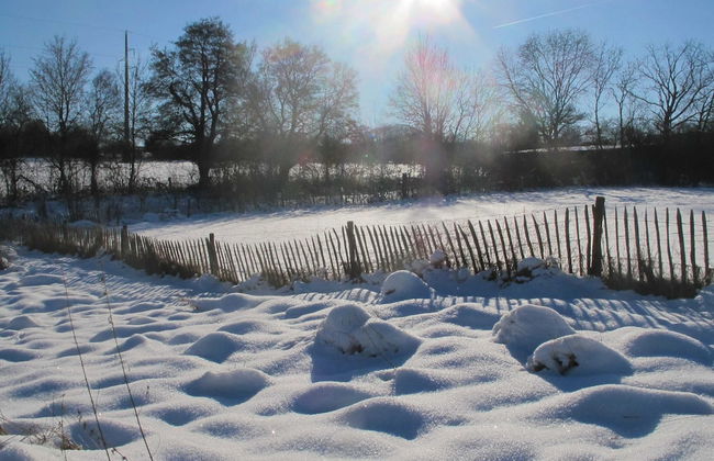 Relaxing Retreat Near Forests - Photo 32