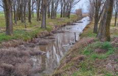 Casa del Maestro - Foto 50