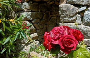 L'ancienne école de Sainte-Marguerite - Foto 28