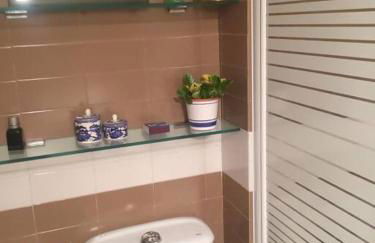 Hortensias de jardín - Photo 16