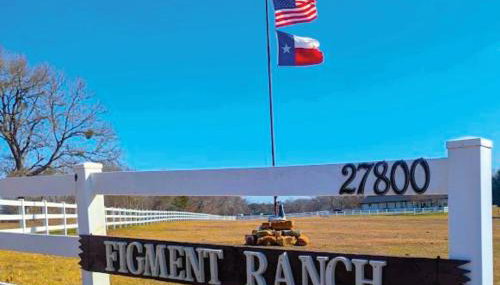 Gerrie's Place at Figment Llama Ranch Foundation Animal Sanctuary near Round Top Texas - Foto 2