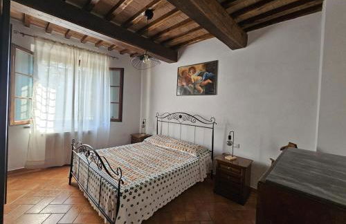 Bilocale indipendente a 10' da Pisa - Foto 14