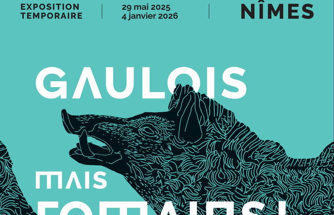 Biglietti per il Museo della Romanità di Nimes - Foto 13