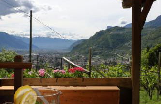 Glögglhof - Foto 20