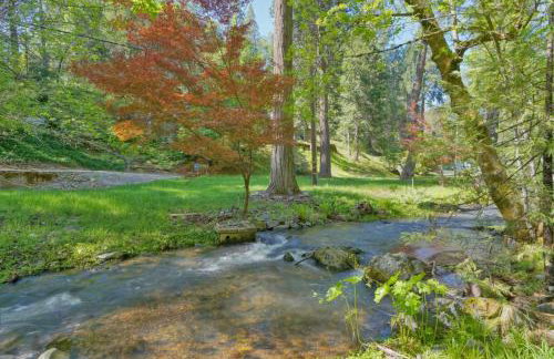Secluded River Cabin Near Sly Park & Apple Hill - Photo 16