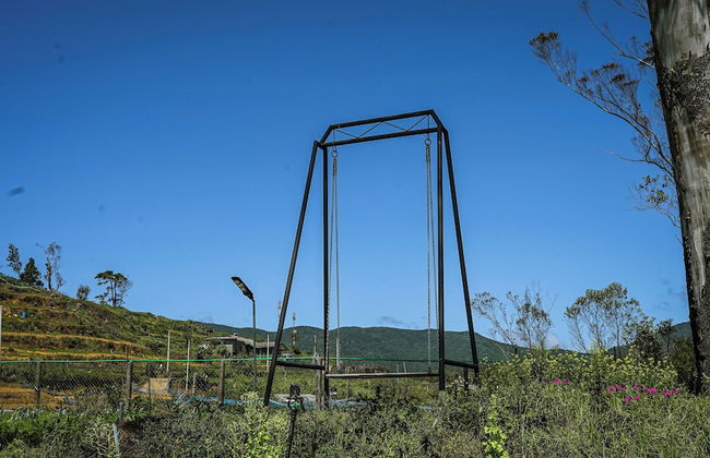 Clouds 1939 By Wimsons - Photo 26