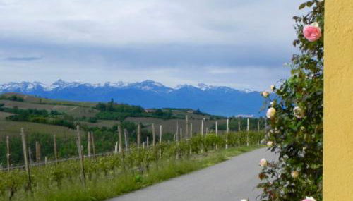 Ciabòt Taricchi - Foto 2