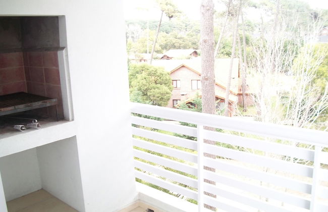 Avutarda de Carilo - Photo 5