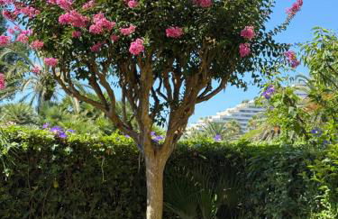 Maradiva Studio - Foto 13