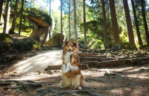 Tiny-Hohenberg - Foto 15