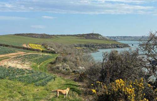 Idyllic Cottage near Padstow - Foto 34