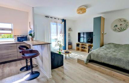 NANCY Appart ZEN - 5 minutes du centre-ville, parking gratuit - Foto 4