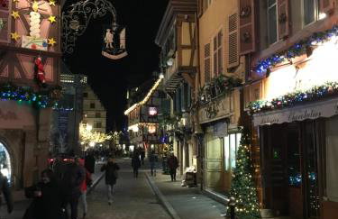 ALSACE Gîte 3étoiles climatisé prox Colmar, Eguisheim, parking, jardin - Foto 42