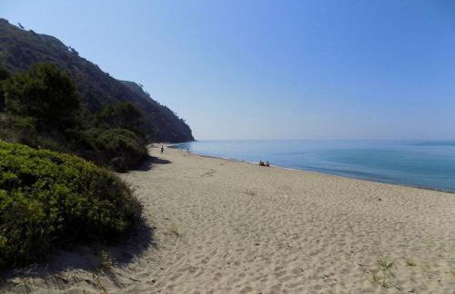 Ripe Rosse - Foto 31