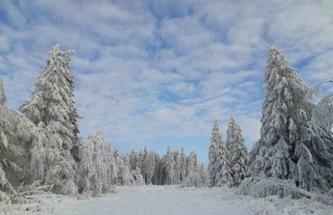 Lovely Apartment in Hesse - Foto 24