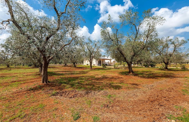 2770 Uliveto Valeria - Trullo Melograno by Perle di Puglia - Foto 36
