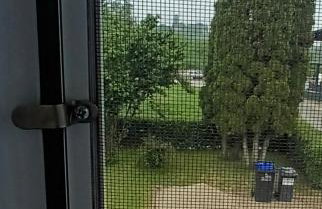 In the Green - Foto 48