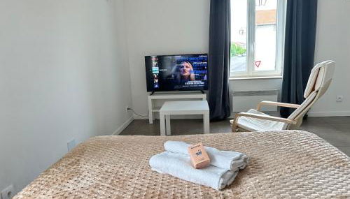 M 102 Studio calme et chaleureux proche Metz - Foto 5