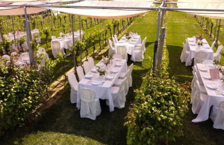 Podere Riosto Cantina&Agriturismo - Foto 39