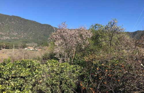 Casa Casilda - Foto 15