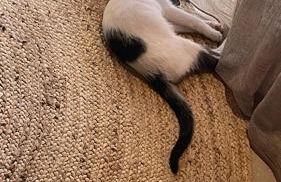 Villa Vrachos luxury Living - Foto 60