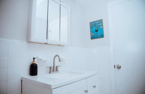 Two Bedroom Apartment Near Downtown Boston with Free Parking - Foto 43