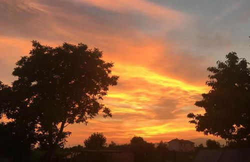 Agriturismo il Podere Vedelago con San Bernardo, Alpaca e una Pentola di cose da scoprire - Foto 66