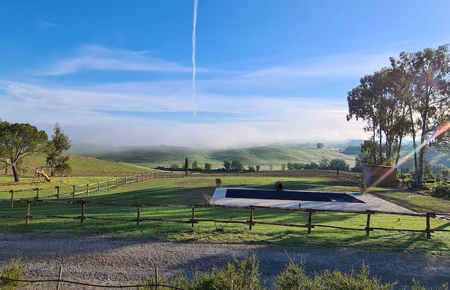 Wine Resort Colsereno - Foto 31