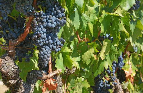 Tranquil Villa with Pool - Foto 27