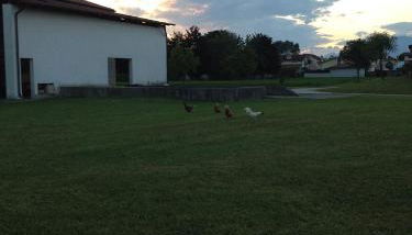 Farmstay Alloggio Cort di Branc - Foto 5