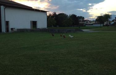 Farmstay Alloggio Cort di Branc - Foto 5
