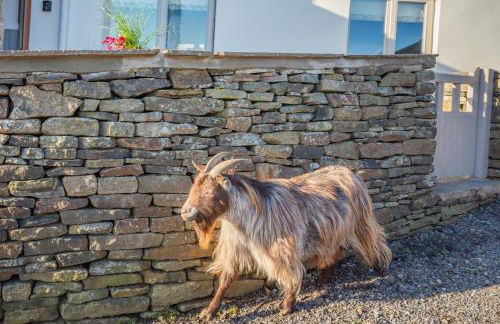 1 Bed in Slaithwaite oc-c34249 - Foto 28