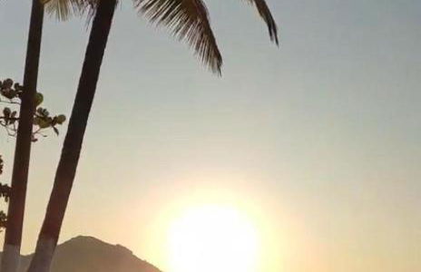 Espaço jasmim manga - Foto 37