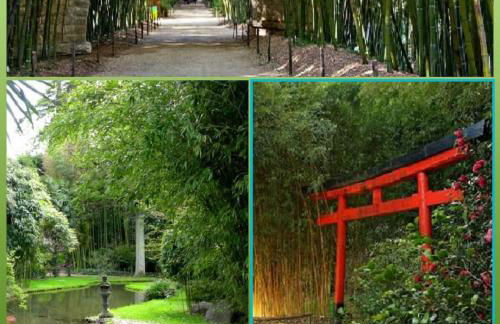 le Globe Trotter - Aux Portes d'Alès - Foto 23