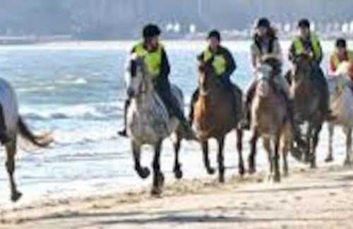 Spacious 5-Bedroom Victorian House Near Sandbanks - Sleeps 14, Parking & Garden - Foto 48